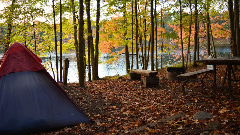 A backcountry campsite overlooking a lake in Frontenac Provincial Park with a picnic table and autumn leaves.