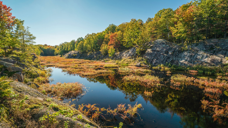 Big Salmon Lake at Frontenac Provincial Park in Ontario.