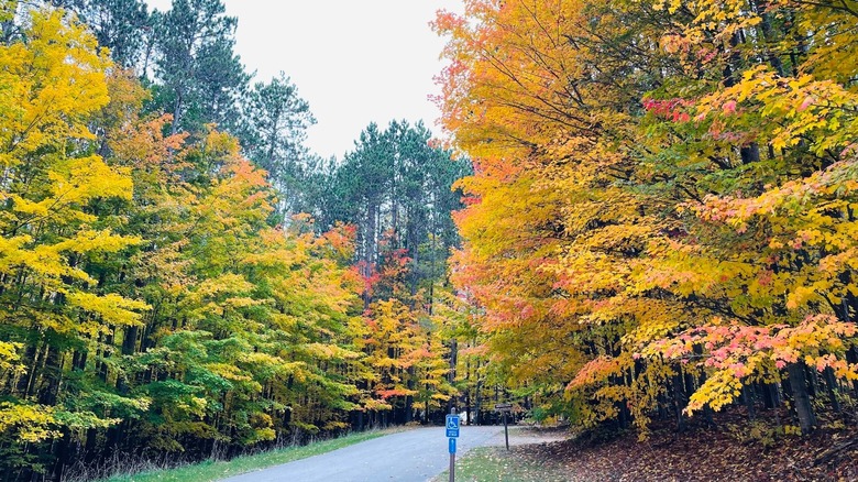 Road in Young State Park.