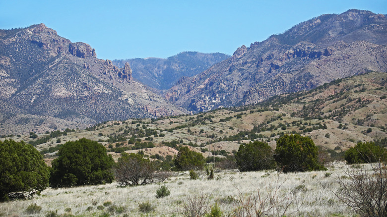Mountainous landscape in Gila National Forest, New Mexico
