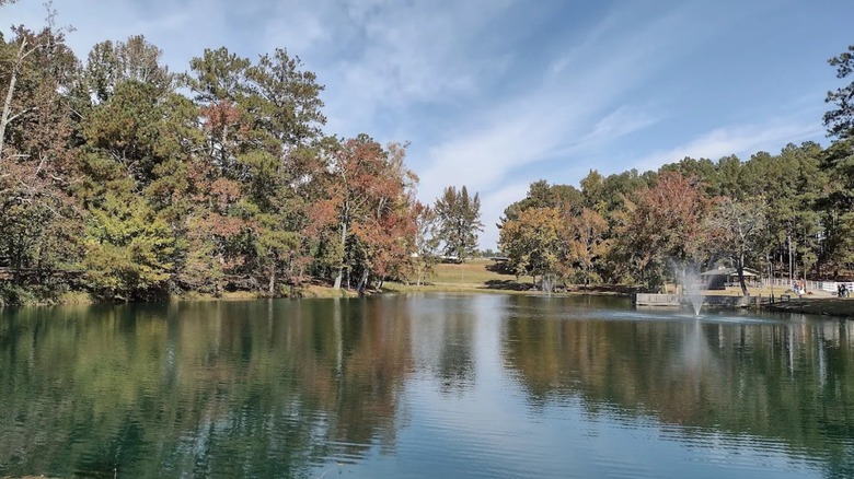 The City Lake Park lake surrounded by trees in Russellville, Alabama