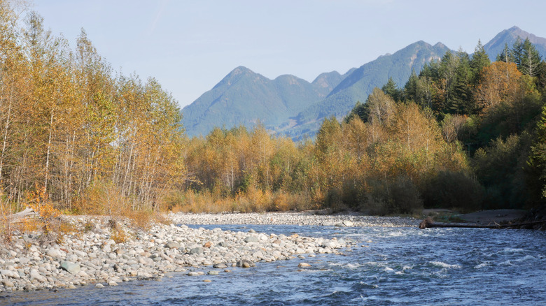 Mountain views around the Chilliwack River near Chilliwack, Canada
