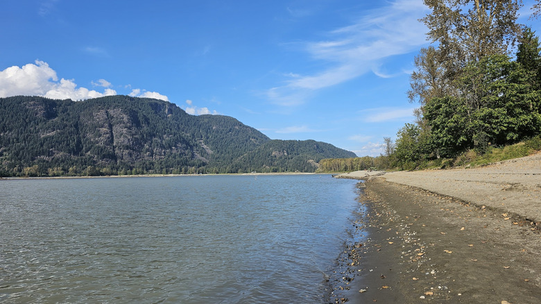Mountain views around Chilliwack at Island 22 Regional Park