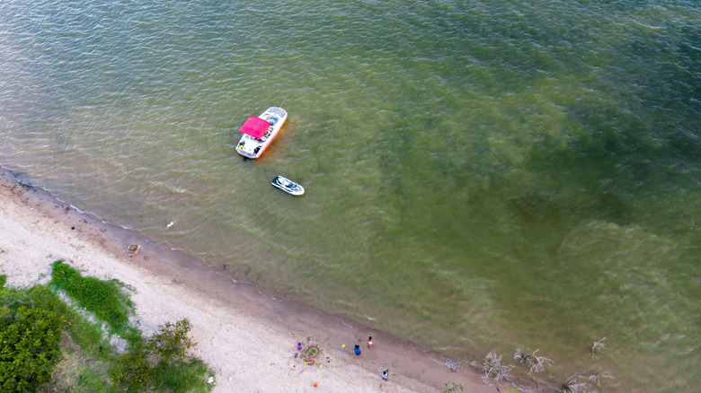 Aerial view of boat and swimmers at Lake Whitney