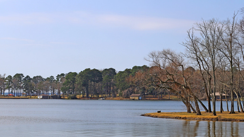 Lake Palestine, Texas