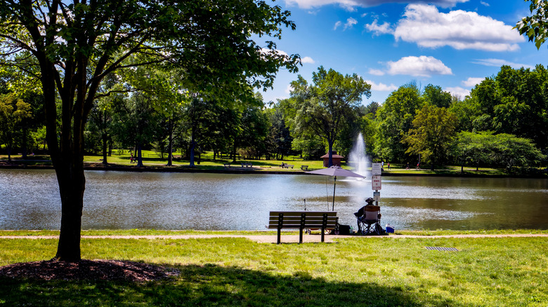 Sunny day over lake in Bowie