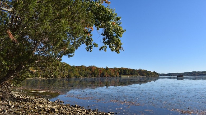 A view of the Potomac River from a shore in Widewater State Park