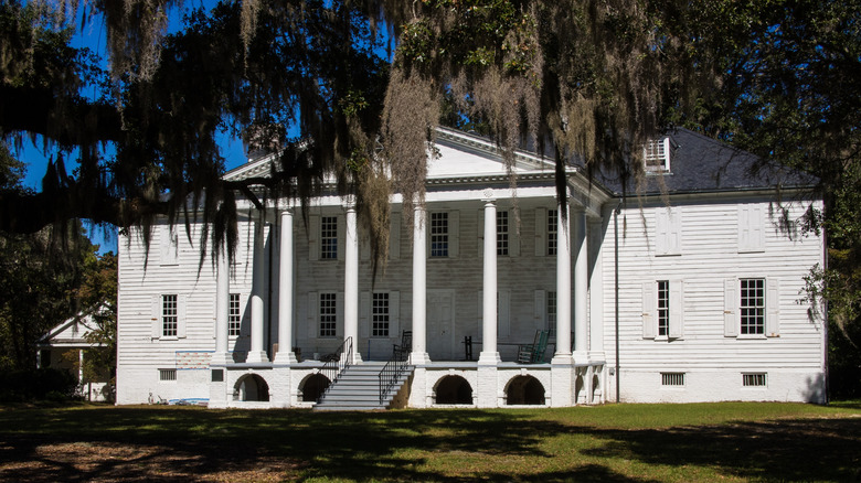 Tree with Spanish moss hanging in front of the mansion facade at the Hampton Plantation