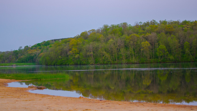 lake shoreline at Governor Dodge State Park, Wisconsin