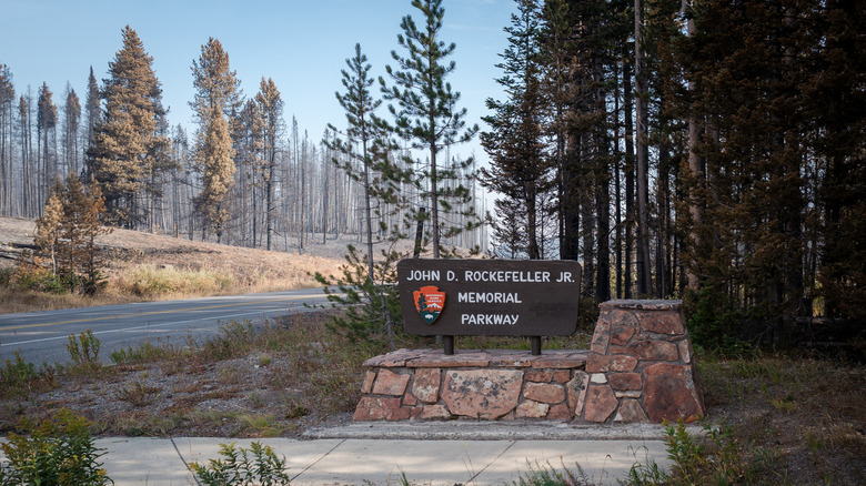 A national park sign commemorating John D. Rockefeller Jr.  and trees