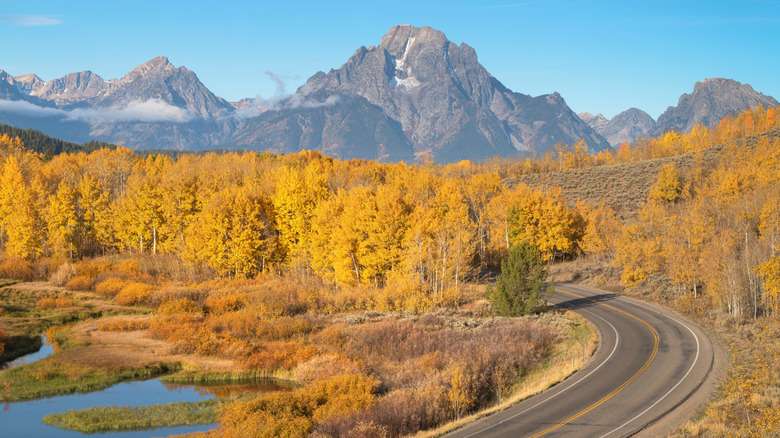 Grand Teton Mountains and autumnal foliage in Wyoming