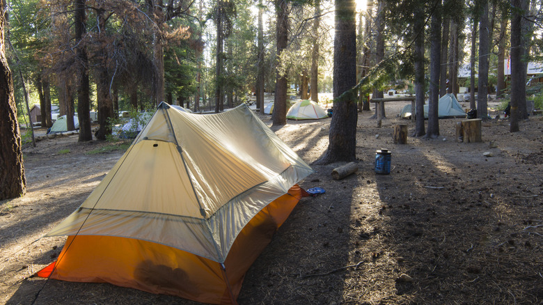 A tent pitched in a wilderness area in the Sierra Nevada of California