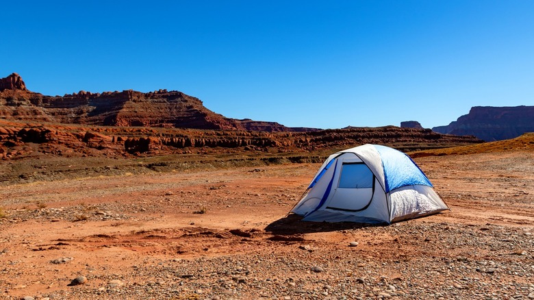 lone tent in a colorful canyon near Zion National Park