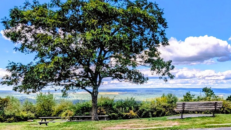 A scenic spot at Big Pocono State Park in Pennsylvania, with picnic benches and a lush valley in the backgound.