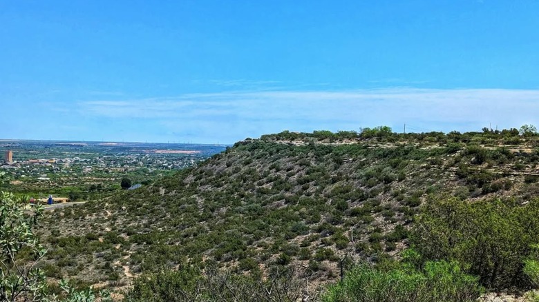 View from Big Spring State Park