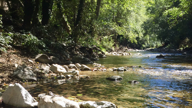 Feet dipping in the water by Big Sur River Inn