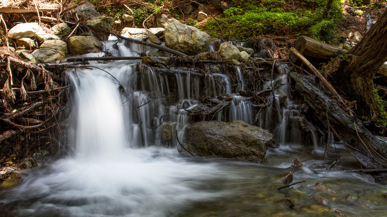 small waterfall inside Limekiln State Park