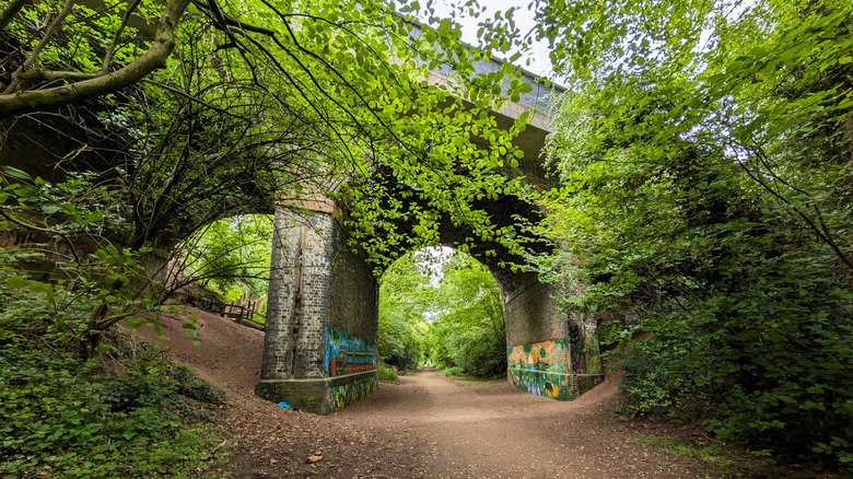 Bingham Linear Walk dirt path under bridge with green trees.