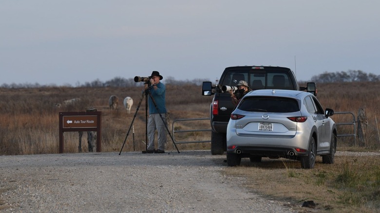 Photographers on auto tour at Attwater Prairie Chicken National Wildlife Refuge