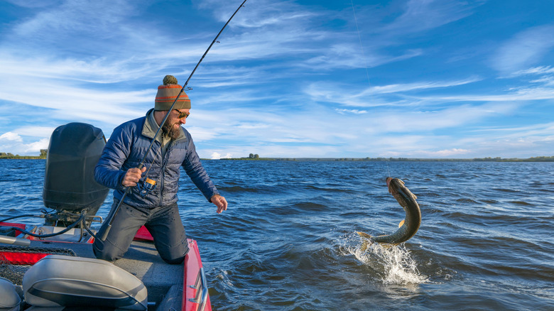 A man fishes for a musky on a Wisconsin lake