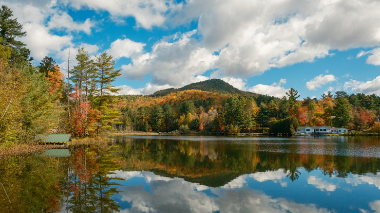view of the shoreline of Saranac Lake reflecting in the water