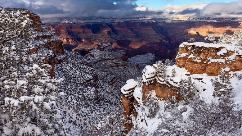 The Grand Canyon in winter covered in snow