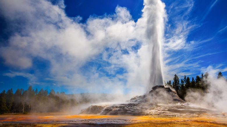 Powerful geyser erupting in Yellowstone National Park