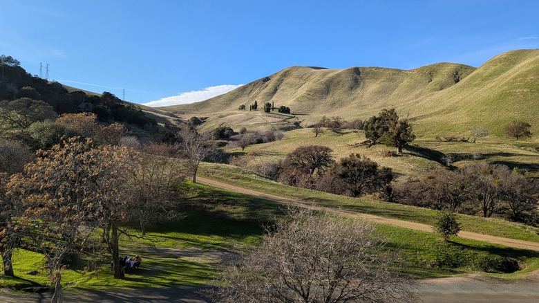 View of hills and trees at the Black Diamond Mines Regional Preserve in California