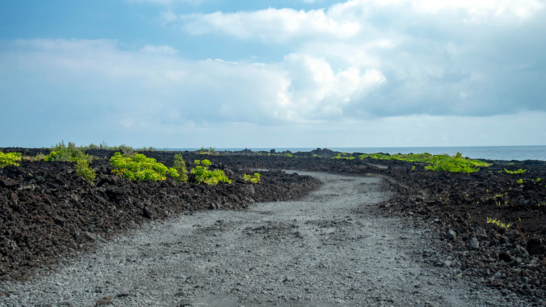 View of the trail at Cape Kumukahi along the coast