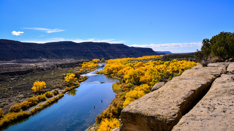 San Juan River in autumn