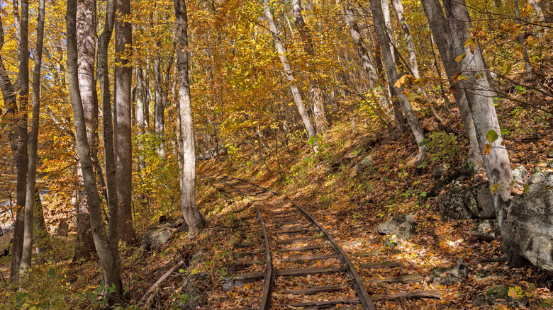A railway winds through trees covered in gold and orange fall leaves in the Blue Ridge Mountains.