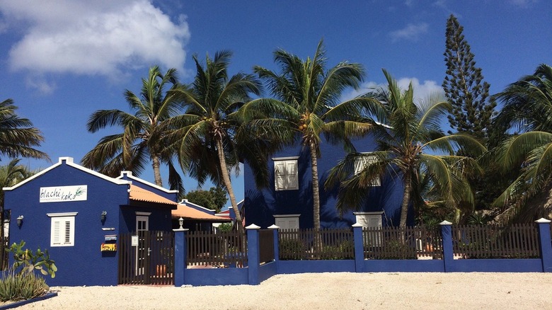 Blue houses by the beach fronted by palm trees