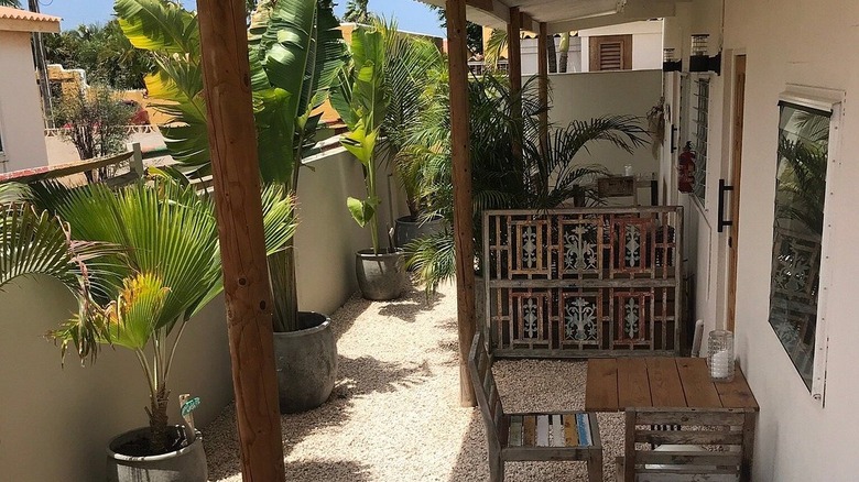 Rustic patio decorated with palms at The Hut in Bonaire