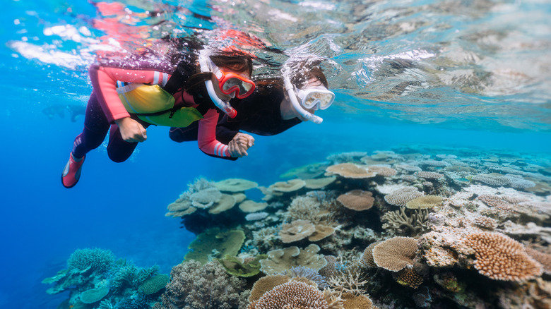 Two snorkelers clasping hands and swimming over a coral reef
