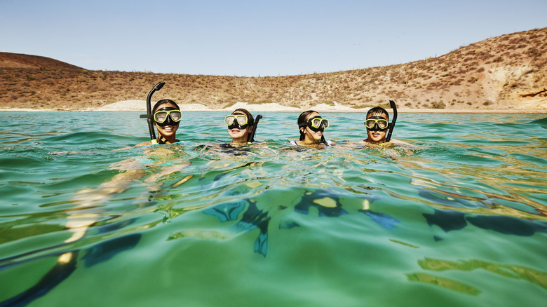 Four people with masks and snorkels swimming in blue water with a brown hill behind them