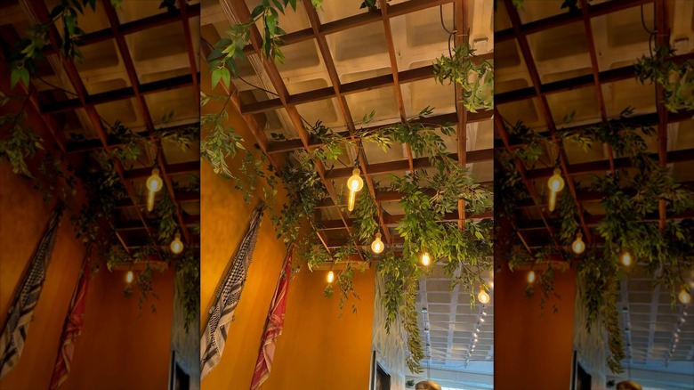 Plants and lights adorn the ceiling of a cafe in Boston