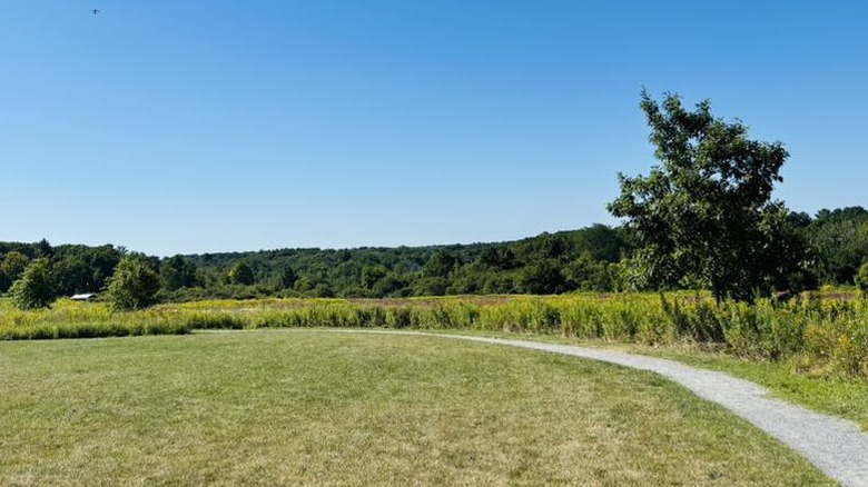Open fields and a trail at Mary Cummings Park
