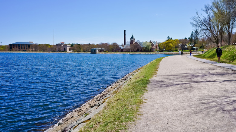 Newton has plenty of green spaces and waterfront trails