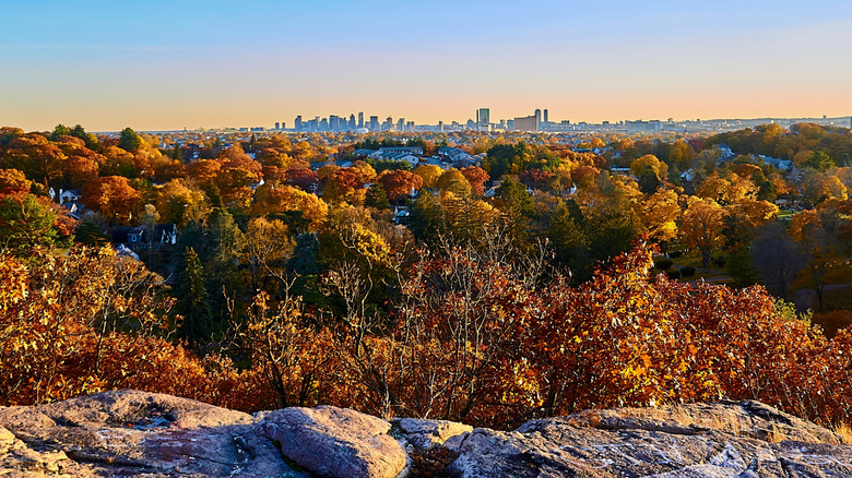 Boston Skyline during the fall