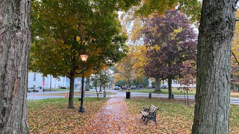Grafton Town Common in the Fall