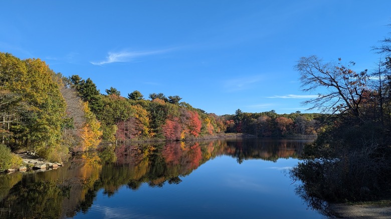 Pond Meadow Park during the fall, Braintree, Massachusetts