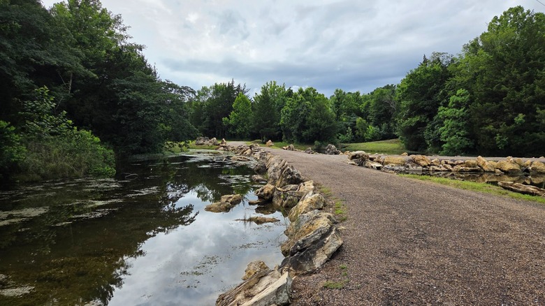 Lush scenery along Rankin Trails at the Quarry Park in Brandon, Mississippi