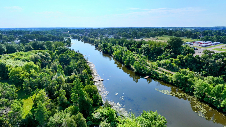 The Grand River in Brantford, Ontario, surrounded by greenery