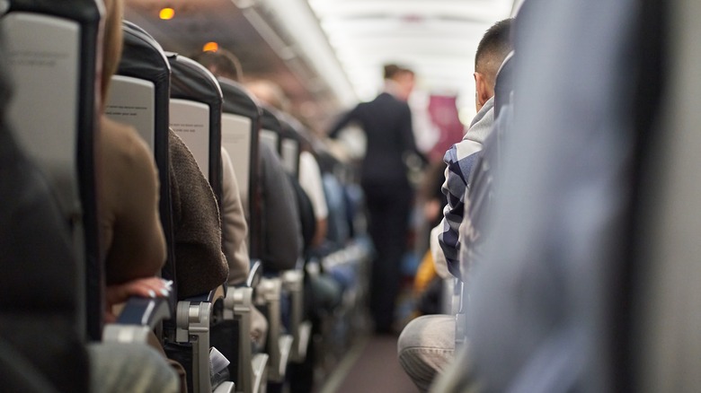 flight attendant in cabin