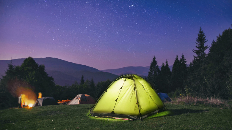An illuminated green tent  beneath bright stars at a forested campground.