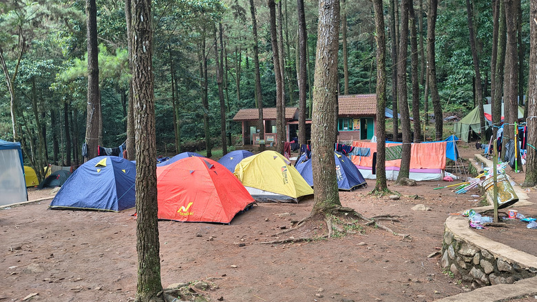 multicolored tents in a campsite in the wood