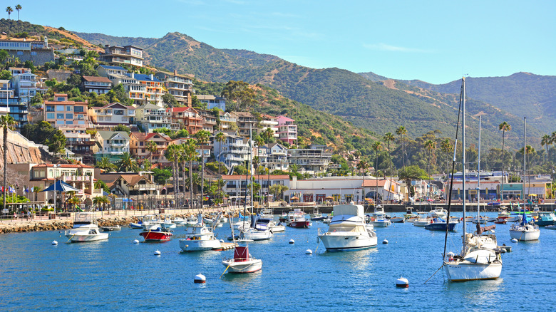 Avalon on Catalina Island