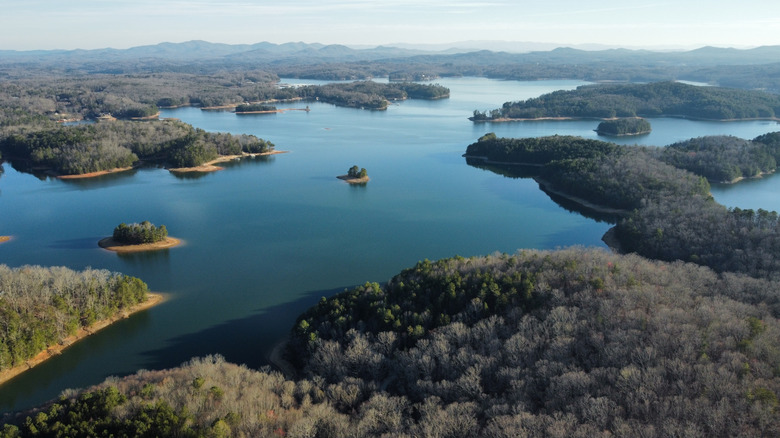 Georgia's Blue Ridge Lake and islands filled with trees