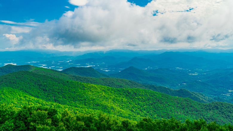 Rolling green hills and ablue sky in the Blue Ridge Mountains, Georgia