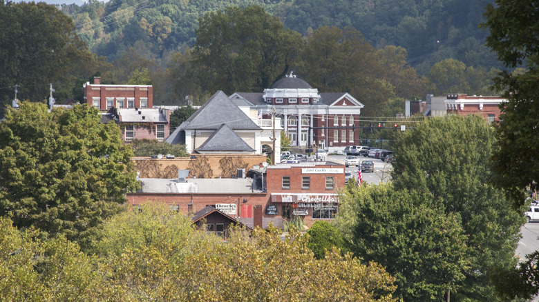 Buildings within the forest in Murphy, North Carolina